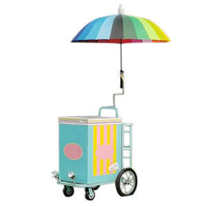 Ice Cream push cart with Freezer Mini Gelato ice Cream cart Refrigerator cart Mobile Food carts